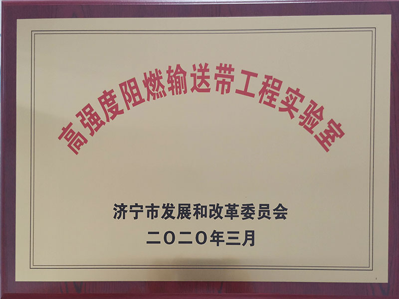 高強(qiáng)阻燃輸送帶工程實驗室